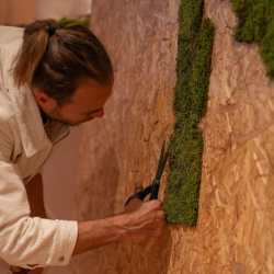 Graffiti Écologique : Faites Pousser Votre Marque !