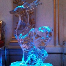 Michel Ice - Sculpteur sur glace
