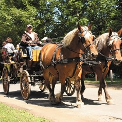 Les calèches