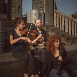 Bowin - Trio de musique irlandaise