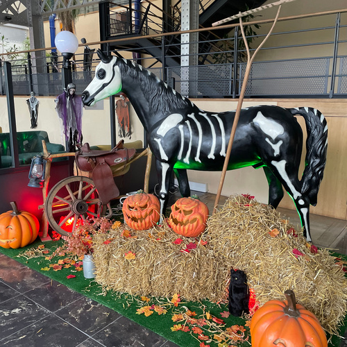 🎉✨ Transformez votre évènement en une expérience inoubliable !

La Team Eventiverse vous propose des décorations sur mesure pour créer une ambiance unique, magique et totalement personnalisée 🤩

📲 Contactez-nous dès maintenant pour imaginer ensemble votre prochain décor de rêve 💬

Visitez notre site web : www.eventiverse.fr 

#Eventiverse #DecorationEvenementielle #EventDesign #EventPlanner #EventAgency #EventProfs #Decor #Inspiration #EventGoals #Soiree #Mariage #CorporateEvent #Anniversaire #WeddingInspiration #EventInspo #EventLife #EventLovers #InstaEvent #Tendance #Deco #ExperienceClient #Evenementiel #EventVibes #EventProduction #EventCreator #EvenementFrance #EventMagic